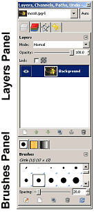 Layers Brushes Panels