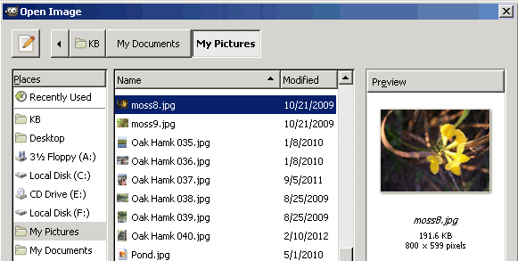 Open Image box