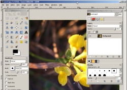 Opened Image