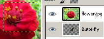Layer stacking order